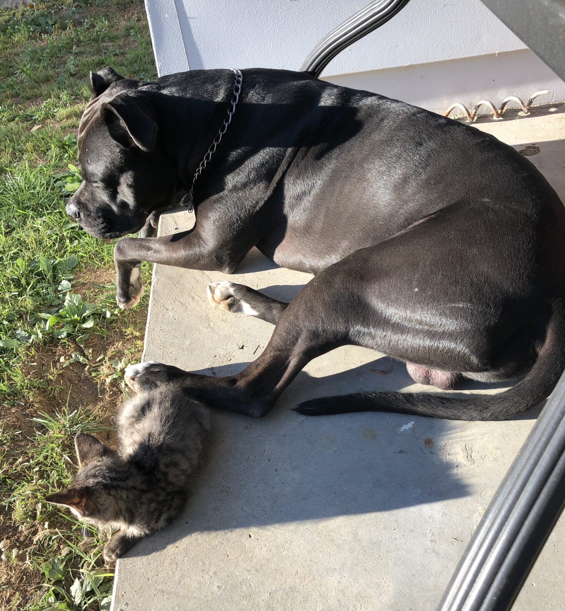 Best of Friends – #10016