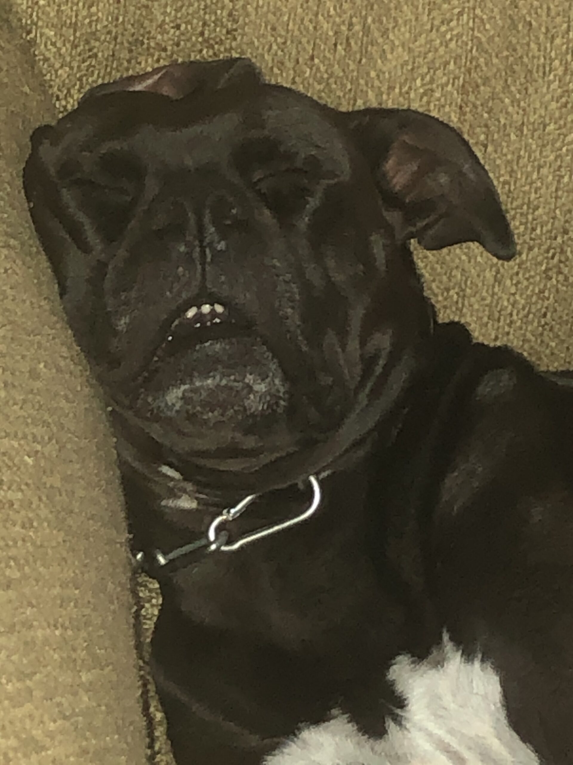 Hard Day on the Farm – #10015