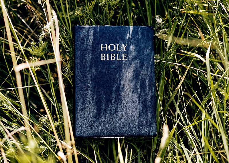 bible-in-grass bible-in-grass