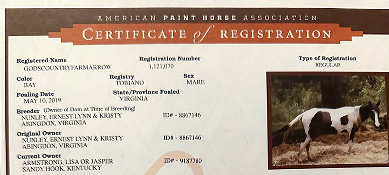 gods-country-farm-horse-registration-arrow