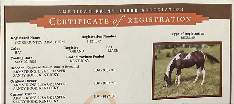 gods-country-farm-horse-registration-storm