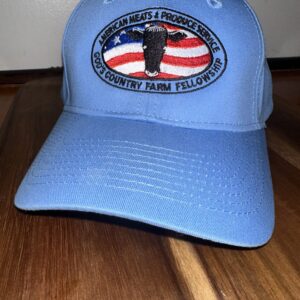 Blue Embroidery Baseball Cap